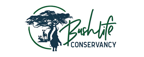 Bushlife-conservancy